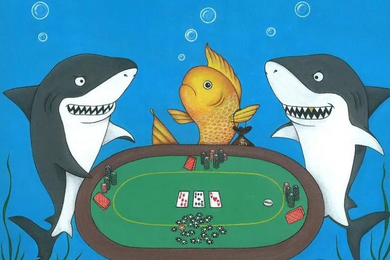 Kinh nghiệm khi gặp Fish trong Poker là gì?