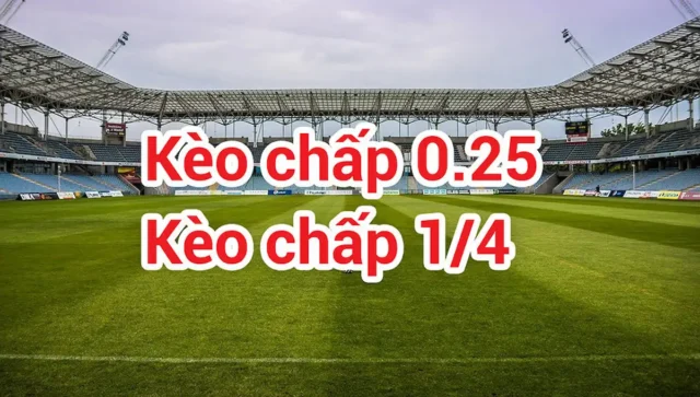 Kèo 1:4 là gì?